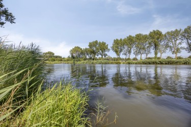 Extra foto's