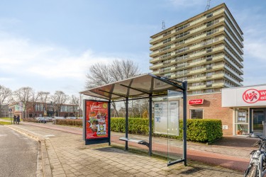 Omgeving