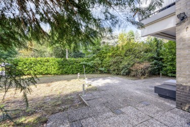 Tuin
