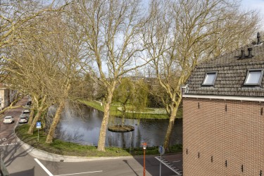 Omgeving