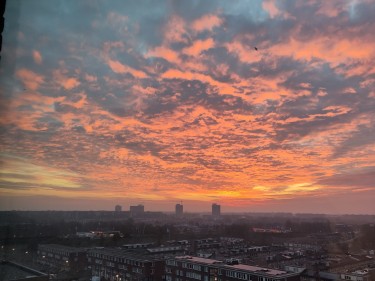 Extra foto's