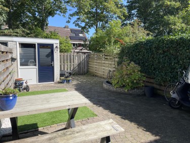 Tuin