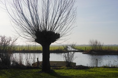 Extra foto's