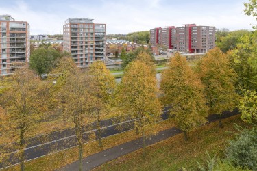 Uitzicht