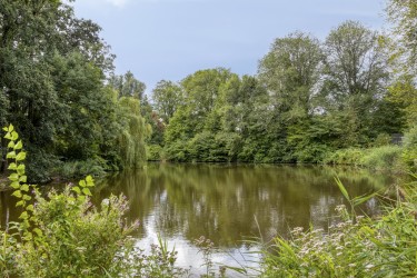 Omgeving