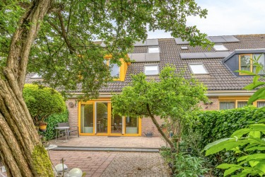 Tuin