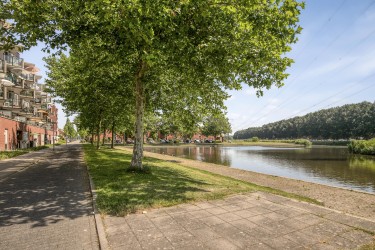 Omgeving