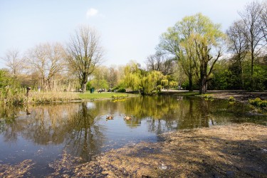 Extra foto's