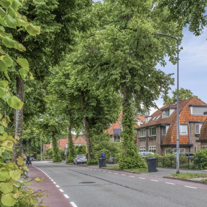 Dichtbij voorzienigen