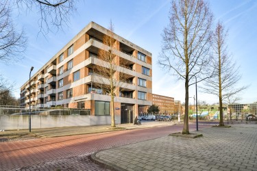 Omgeving