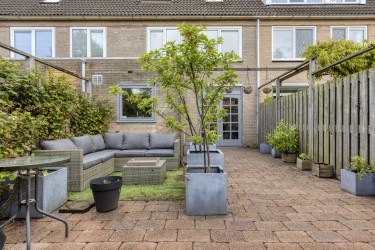 Tuin
