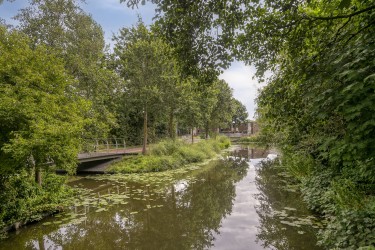 Omgeving