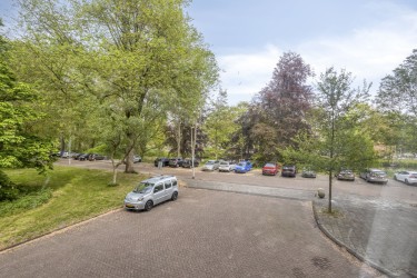 Omgeving