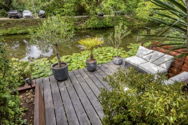 Tuin