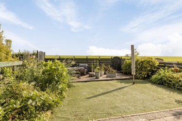 Tuin