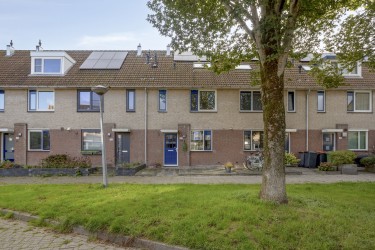 Extra foto's