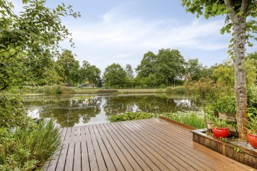 Tuin