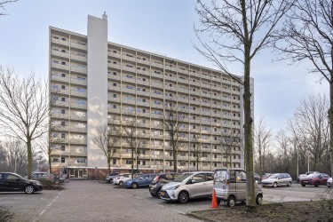 Omgeving