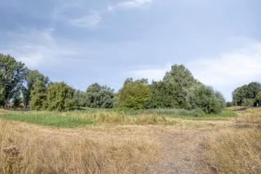 Extra foto's