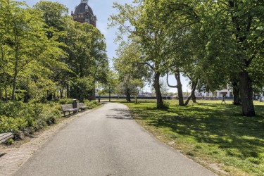 Veel groen