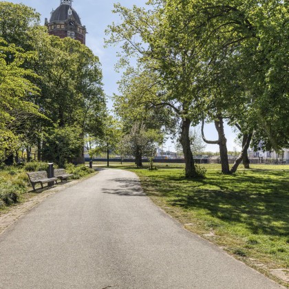 Veel groen