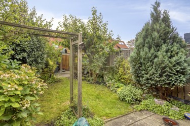 Tuin