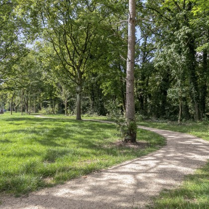 Groene buurt