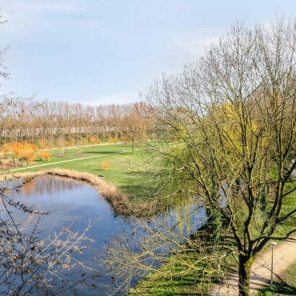 Uitzicht