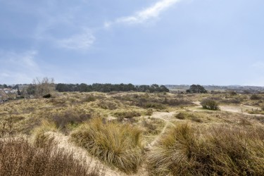 Extra foto's