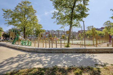 Omgeving