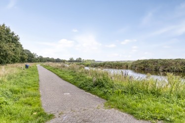 Tuin