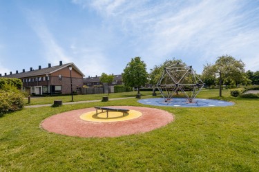 Omgeving