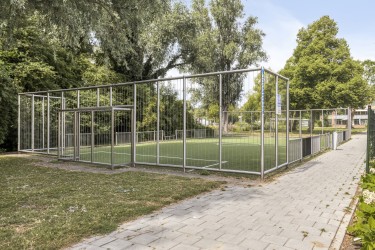 Omgeving