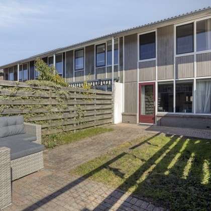 Zon, gras en bestrating