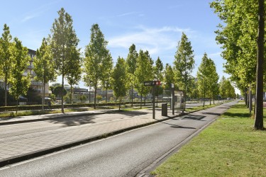 Omgeving