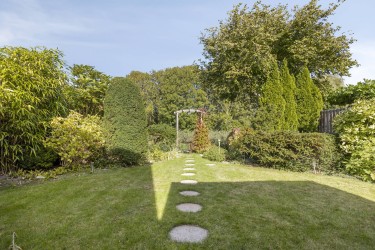 Tuin