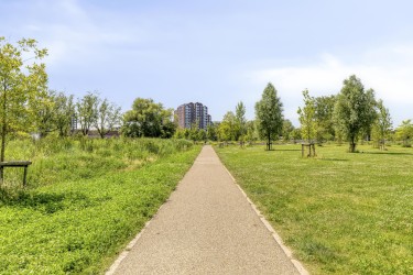Groene omgeving