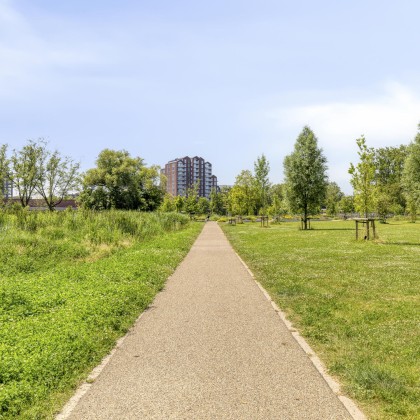 Groene omgeving