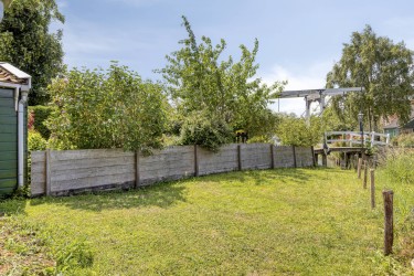 Zonnige tuin