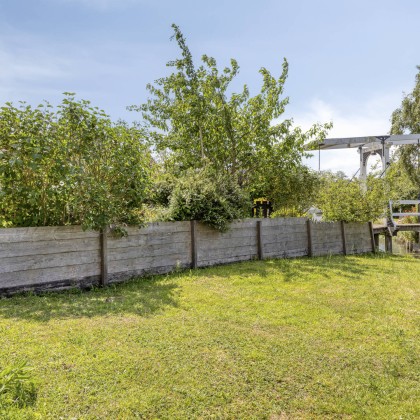 Zonnige tuin
