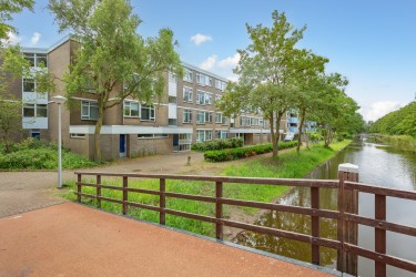 Tuin