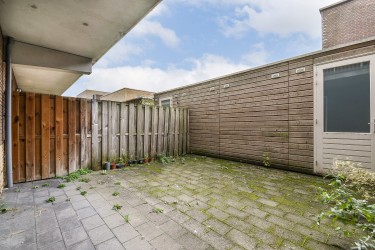 Tuin