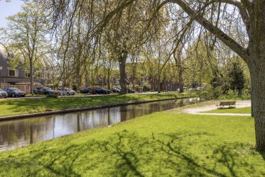 Omgeving