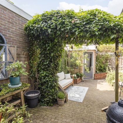 Zonnige tuin