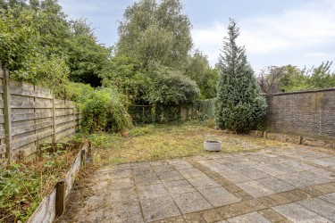 Tuin