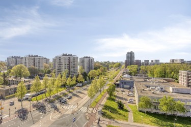 Fijne omgeving