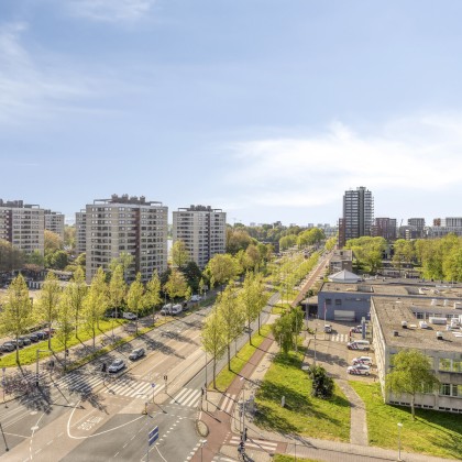 Fijne omgeving