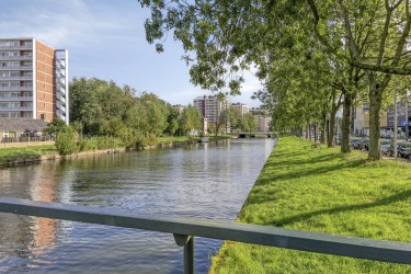 Omgeving