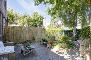 Tuin