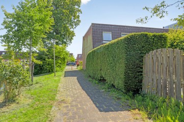 Groene omgeving